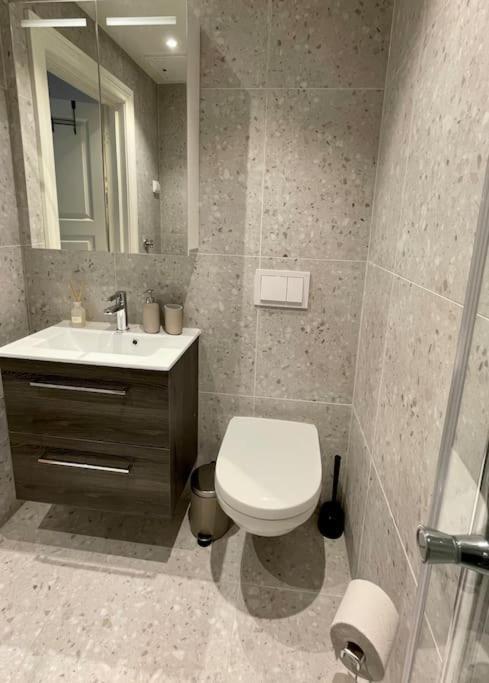 Modern And Cozy Studio Apartment In Central Όσλο Εξωτερικό φωτογραφία