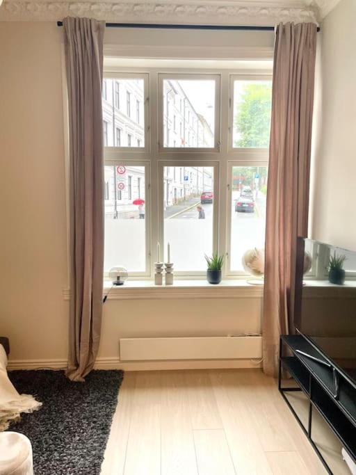 Modern And Cozy Studio Apartment In Central Όσλο Εξωτερικό φωτογραφία